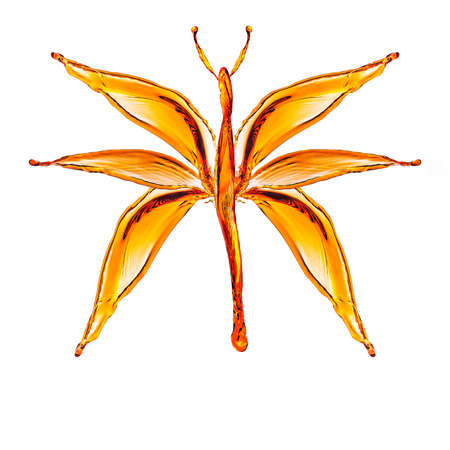 A butterfly formed from splashes of colored liquid. The abstract insect was created from water splashes.の写真素材