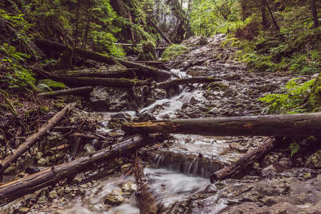 A stream flowing through a picturesque gorge in the Slovak Paradise. Tourist walking through a gorge with a stream and felled tree trunks.の写真素材