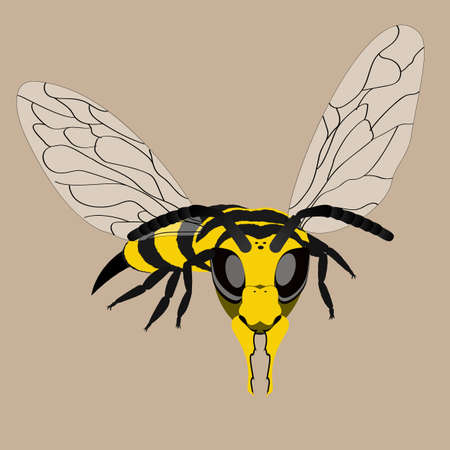 Vector illustration. Combat wasp ready to strike.のイラスト素材