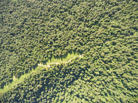 Aerial view over curve road in Russian forest
