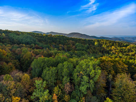 Aerial photo. Autumn scenery of the mountain forest.の写真素材
