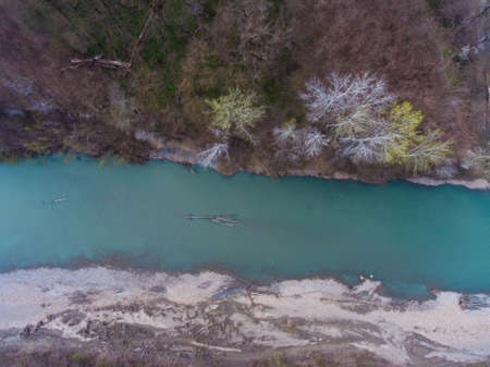Aerial view from the air on a fallen tree in the river.の写真素材