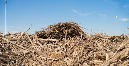 A bunch of dry waste from wood cutting boards.の写真素材