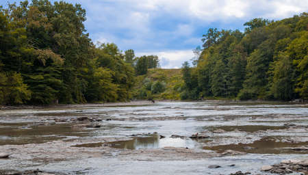 Rural landscape. Yellowing trees near a shallow river under a dramatic sky.の写真素材