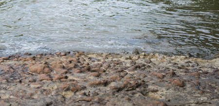 The river from the red stone of volcanic formation. Selective focus.