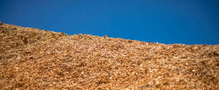 A bunch of industrial wood chips stored outside. Selective focus.の写真素材