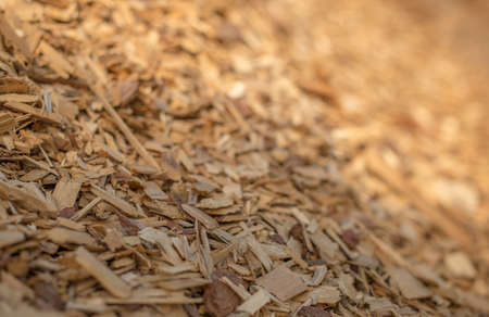 The slope of a pile of industrial wood chips. Selective focus.の写真素材