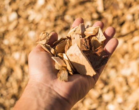 Technological wood chips for the production of MDF boards. Selective focus.の写真素材