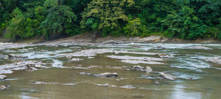 Shallow rocky bottom of the river.