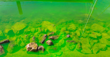 Coastal sea waters are painted with green paint. Ecological pollution.の写真素材