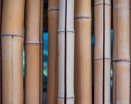 Wall of dry cracked bamboo stems.の写真素材