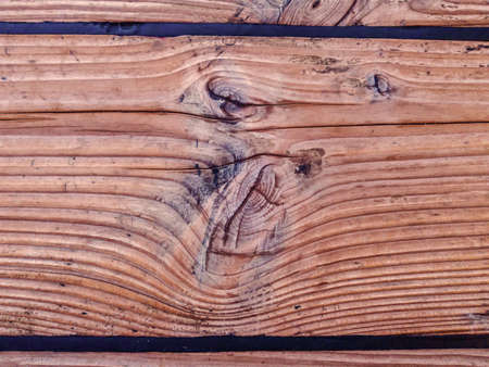 Defective pine board with knots close-up.