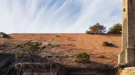 Covered with dry climbing plants tiled roof of the mansion.の写真素材