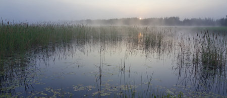 Shore of a foggy lake at sunrise in autumn, panoramaの素材