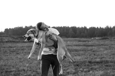 A smiling man in white holding in hands happy ca de bou dog in a field, in sunsetの写真素材