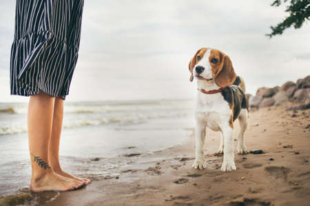 Portrait of happy woman 20s hugging her dog while walking along the beachの写真素材