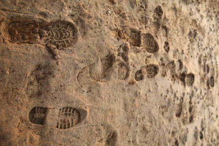 A lot of different men and dog footprint on a sandy surface in sunset