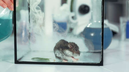 Experiment in modern chemistry laboratory: running smoke from flask into a glass container with...
