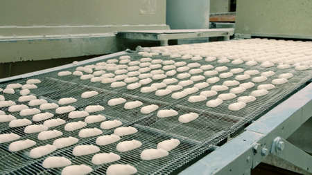 Fresh candies on conveyor belt. Candy factory. Rows of delicious fresh candies lying on conveyor...