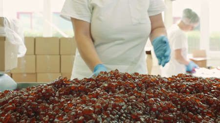 Candy factory. Factory worker packing candies. Young woman in uniform using scoop to put jelly candies into carton bow while working in confectionery factory.の写真素材