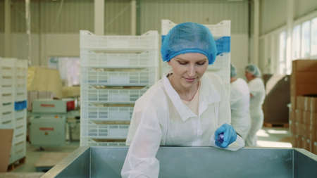 Candy factory. Factory worker checking packing machine. Young woman in uniform inspecting packing...