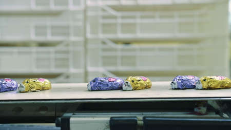 Wrapped candies lying on conveyor. Tasty sweets lying on conveyor during wrapping process on industrial machine in confectionery factory.の写真素材