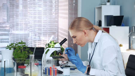 Female research scientist dropping sample on microscope slide and examining it working in modern bright chemistry labの写真素材