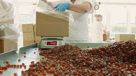Candy factory. Factory worker packing candies. Young woman in uniform using scoop to put jelly candies into carton bow while working in confectionery factory.の写真素材