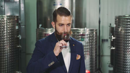 Bearded man degustating wine. Handsome bearded man in elegant suit tasting red wine as sommelier in...