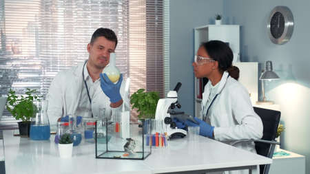 Two multiracial research scientists discussing the experiment with smoking liquid and showing satisfaction of the results. Woman writing notes on tablet during the experiment.の写真素材
