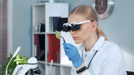 Close-up of female chemistry research scientist in magnifying eyeglasses looking on sample in her personal gabinet in modern chemistry laboratoryの写真素材