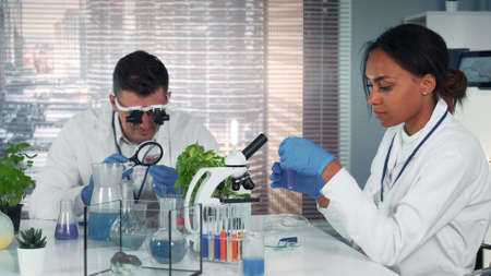 Diverse research specialists working with organic materials in modern bright chemistry lab using different instruments and methods of experimentの写真素材