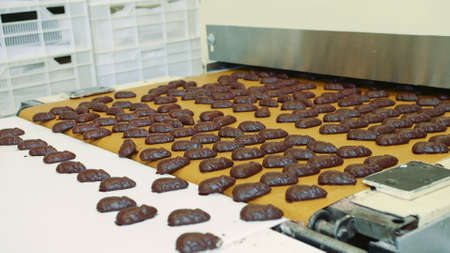 Candy factory. Chocolate candies lying on conveyor. Bunch of yummy chocolate sweets lying on conveyor belt on confectionery factory.の写真素材