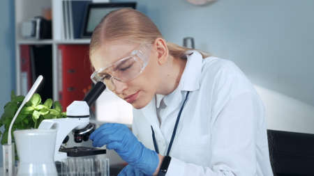 Medical research scientist in safety glasses taking sample from test-tube with pipette and examining it under the microscope in bright labの写真素材