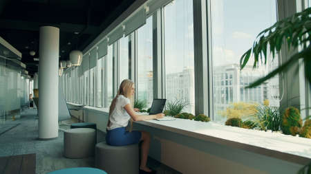 Side view of woman sitting at table alongside window in modern office and using laptop in daylight.の写真素材