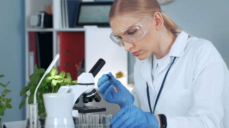 Medical research scientist in safety glasses taking sample from test-tube with pipette and examining it under the microscope in bright labの写真素材