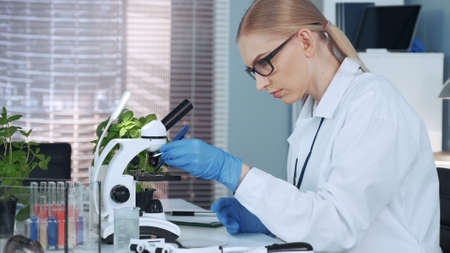Female chemistry professor using tweezers to put organic material on slide and look under the microscope. Woman working in modern well equipped laboratoryの写真素材