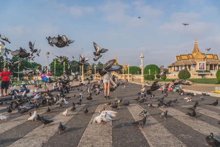 Birds at the Royal Palace park in front of the Royal Palace at the Sisowath Quay at the Tonle Sap River in the city of Phnom Penh of Cambodia. Phnom Penh, Cambodia - FEBRUARY 22, 2020のeditorial素材
