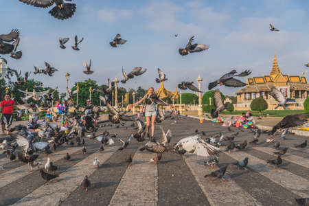 Birds at the Royal Palace park in front of the Royal Palace at the Sisowath Quay at the Tonle Sap River in the city of Phnom Penh of Cambodia. Phnom Penh, Cambodia - FEBRUARY 22, 2020のeditorial素材