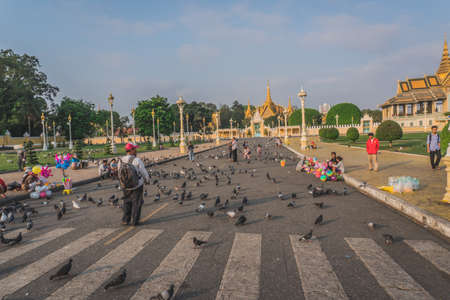 Birds at the Royal Palace park in front of the Royal Palace at the Sisowath Quay at the Tonle Sap River in the city of Phnom Penh of Cambodia. Phnom Penh, Cambodia - FEBRUARY 22, 2020のeditorial素材