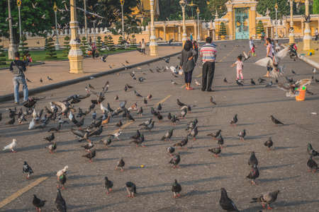 Birds at the Royal Palace park in front of the Royal Palace at the Sisowath Quay at the Tonle Sap River in the city of Phnom Penh of Cambodia. Phnom Penh, Cambodia - FEBRUARY 22, 2020のeditorial素材