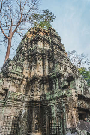 Cambodia Angkor Wat Ta Prohm Temple Tomb Raider Tree Roots Ruins. Angkor Temples Ta Prohm. Siem Reap, Cambodia - FEBRUARY 25, 2020のeditorial素材