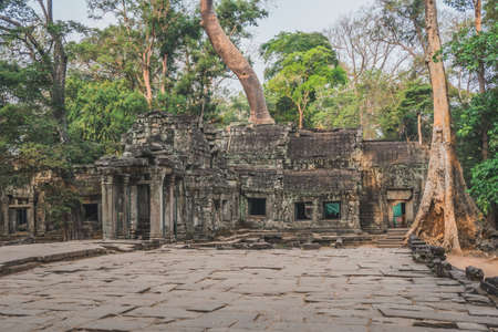 Cambodia Angkor Wat Ta Prohm Temple Tomb Raider Tree Roots Ruins. Siem Reap, Cambodia - FEBRUARY 25, 2020のeditorial素材