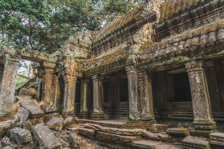 Medium shot of Ruins Of Angkor Temples Ta Prohm. Siem Reap, Cambodia - FEBRUARY 25, 2020のeditorial素材