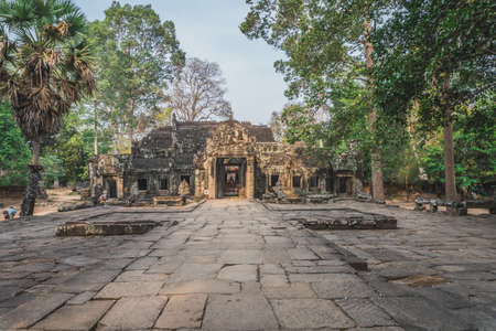 Huge Banyan Tree Ancient Angkor Wat Ruins Panorama Sunrise Asia. Banteay Kdei Temple. Siem Reap, Cambodia - FEBRUARY 25, 2020のeditorial素材