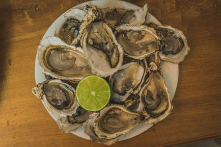 Oysters the Dozen on ice and with a piece of lemon on the side.の写真素材