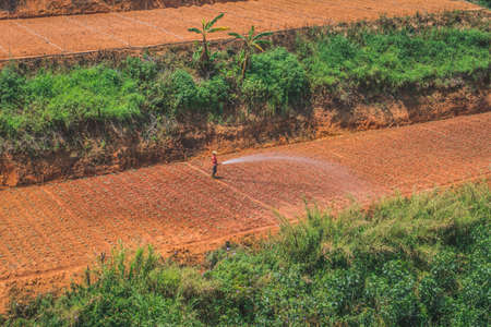 Vietnamese man worker holds a water hose and water a garden. Dalat, Vietnam - March 17, 2020