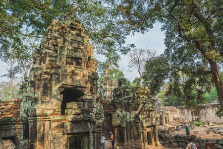 Cambodia Angkor Wat Ta Prohm Temple. Banteay Kdei Temple. Siem Reap, Cambodiaの写真素材