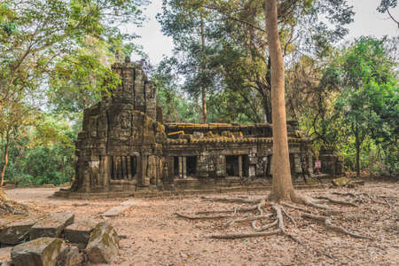 Huge Banyan Tree Ancient Angkor Wat Ruins Panorama Sunrise Asia. Banteay Kdei Temple. Siem Reap, Cambodiaの写真素材