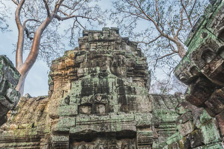 Cambodia Angkor Wat Ta Prohm Temple Tomb Raider Tree Roots Ruins. Angkor Temples Ta Prohm. Siem Reap, Cambodiaの写真素材